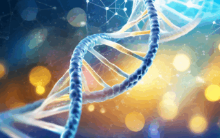 A DNA Strand