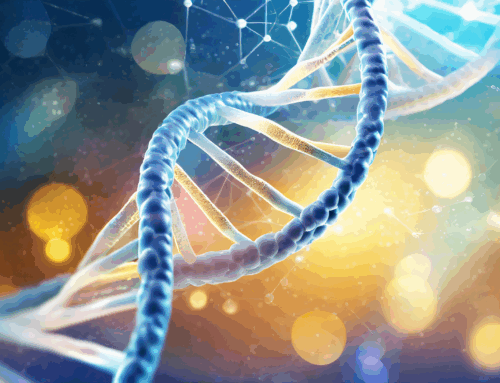Understanding the MTHFR Gene Mutation: Symptoms, Testing, and Holistic Support