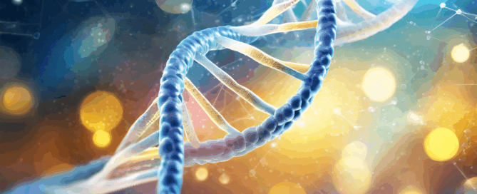 A DNA Strand